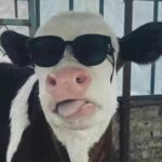 国家特级不保护废物的头像-逻辑矩阵技术社区