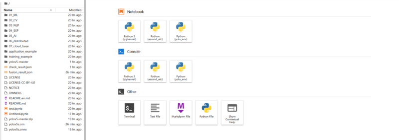香橙派 AI Pro：YOLOv5 NPU 加速部署教程-逻辑矩阵技术社区